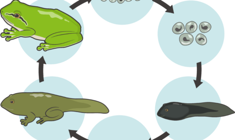 は で始まる四字熟語 四字熟語の百科事典